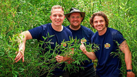One Zoo Three
