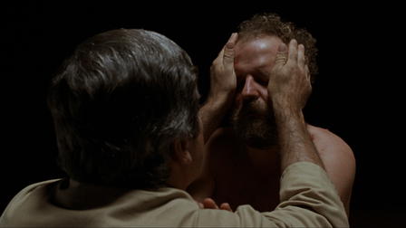 The Brood - missfostret