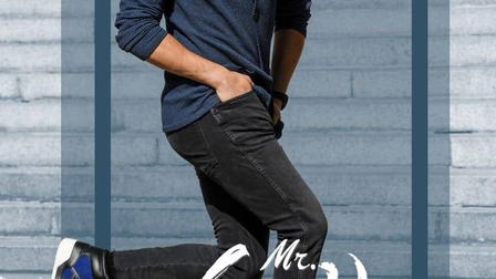 Mr. Majnu
