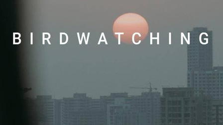 Birdwatching