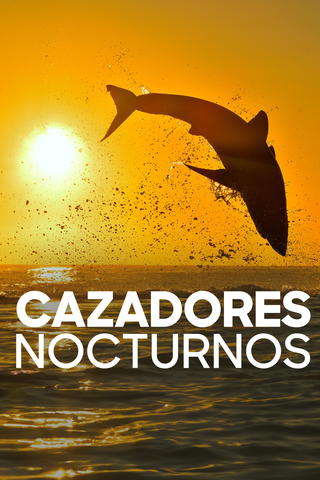 Air Jaws: Night Stalker