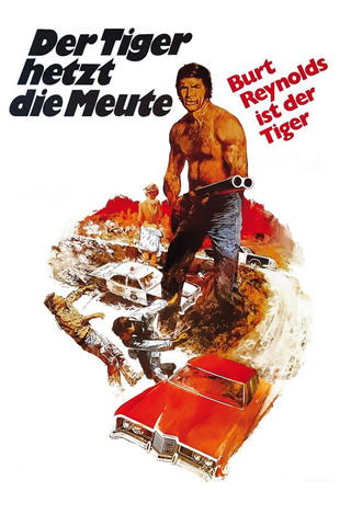 Der Tiger hetzt die Meute