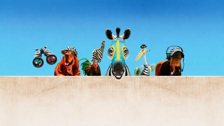 Racing Stripes