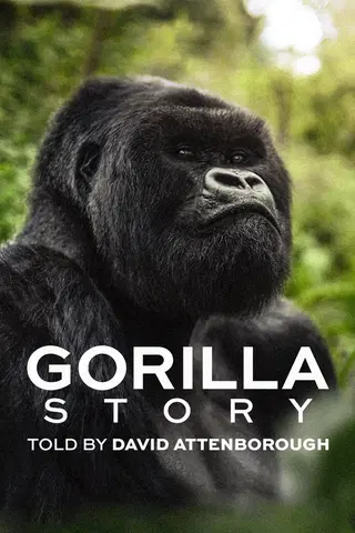 Eine Gorilla-Story erzählt von David Attenborough