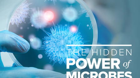 The Hidden Power of Microbes