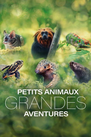 Petits animaux, grandes aventures