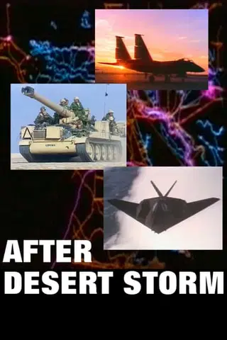 After Desert Storm
