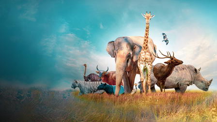 The Animals' Guide to Survival