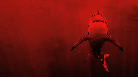 Jaws Strikes Back