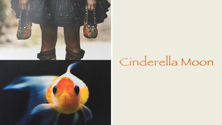 Cinderella Moon