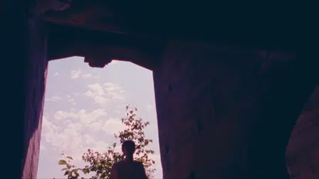 I've Heard the Ammonite Murmur