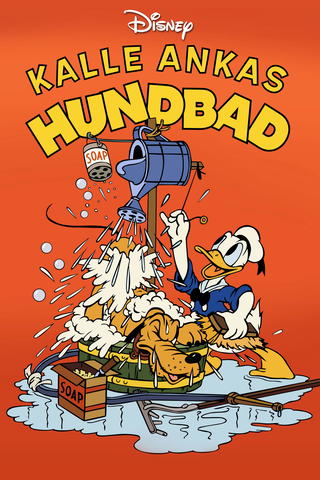 Kalle Ankas hundbad