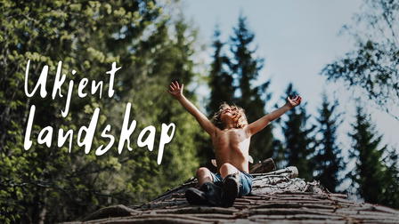 Ukjent landskap