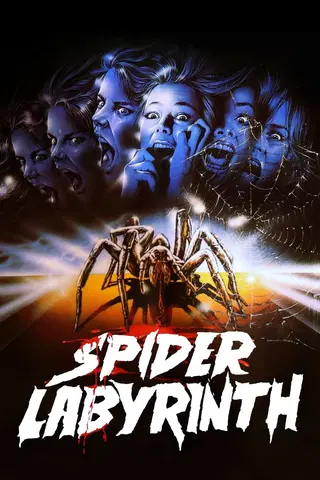 The Spider Labyrinth