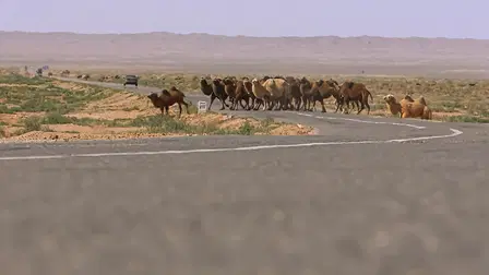 Pustynie w natarciu