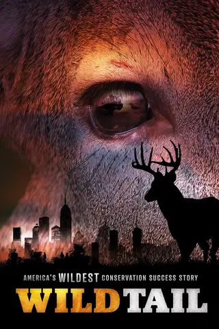 WildTail