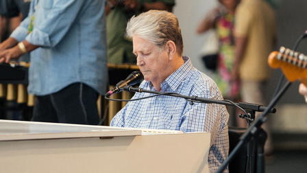 Brian Wilson: Long Promised Road