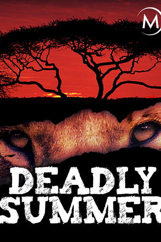 Deadly Summer