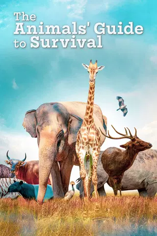 The Animals' Guide to Survival