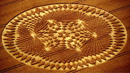 Círculos de Cosechas: ¿Cruces de Otra Dimensión?