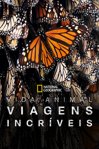 Viagens Incríveis de Animais