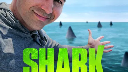 Shark Rober