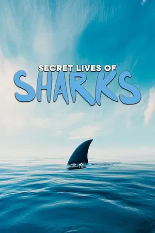The Secret Lives of Sharks
