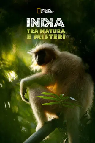 India: Tra Natura e Misteri