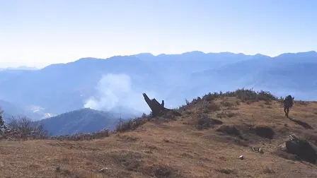 Blutch