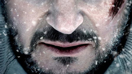 Le Territoire des loups