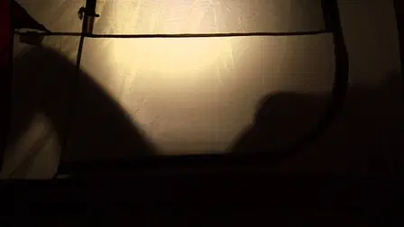 Fever Night: AKA Band of Satanic Outsiders