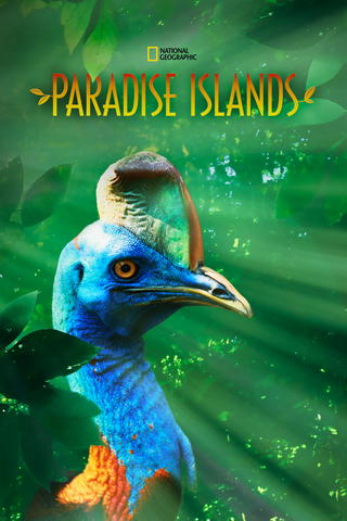 Paradise Island