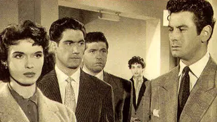 Eleven Pairs of Boots