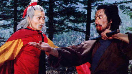 Shaolin Teenage Heroines