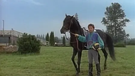 The Adventures of the Black Stallion