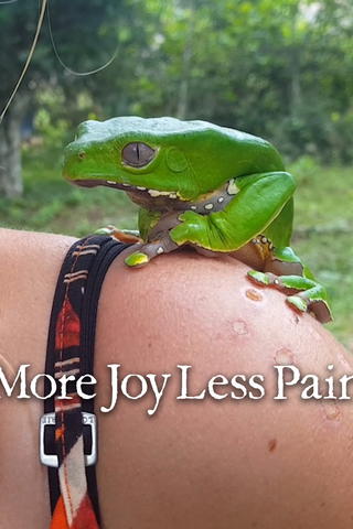 More Joy Less Pain
