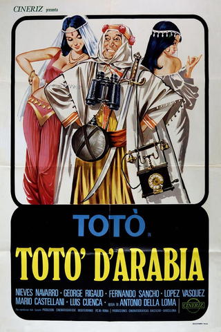 Toto of Arabia