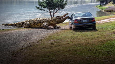 Lake Placid 3 - Calma apparente
