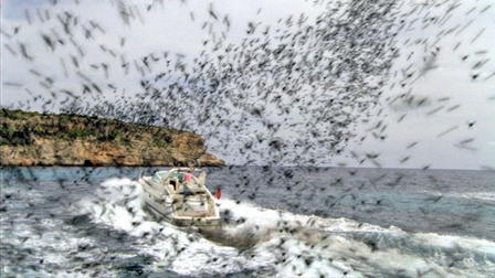 El nido de la reina