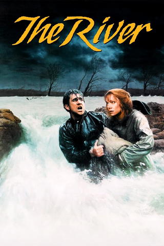 Stormfloden