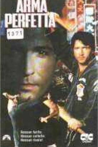 Arma perfetta