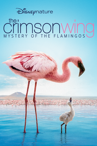 Disneynature Crimson Wing