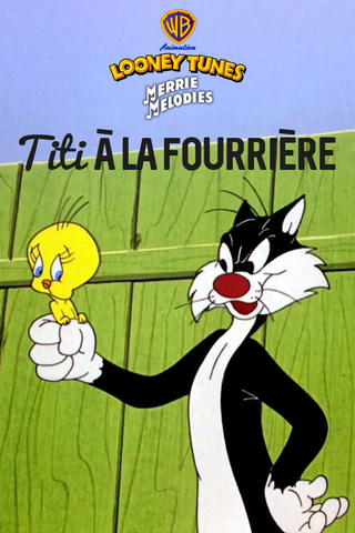 Titi à la fourrière