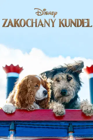 Zakochany kundel