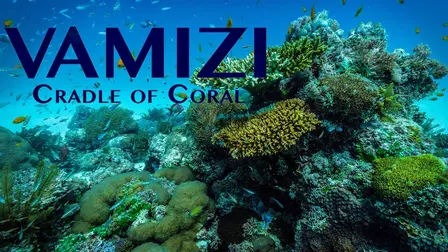 Vamizi: Cradle of Coral