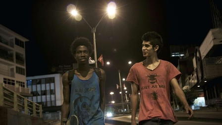 Los hongos