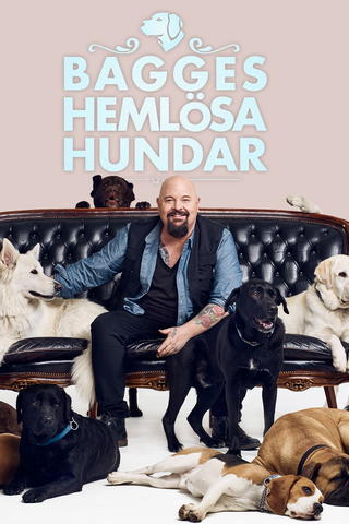 Bagges hemlösa hundar