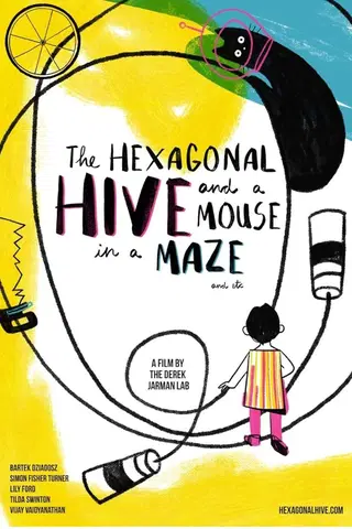 The Hexagonal Hive and a Mouse in a Maze