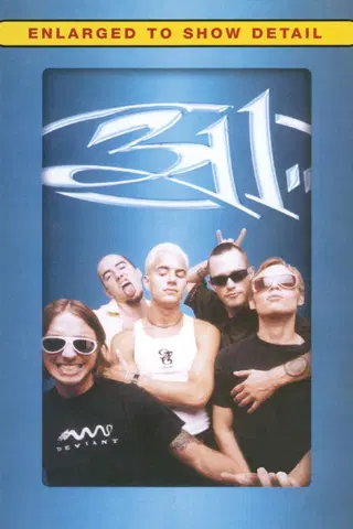 311: Enlarged to Show Detail