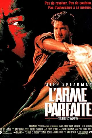 L'Arme parfaite